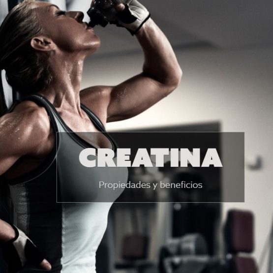 ¿Para qué sirve la creatina? Beneficios reales y cómo funciona